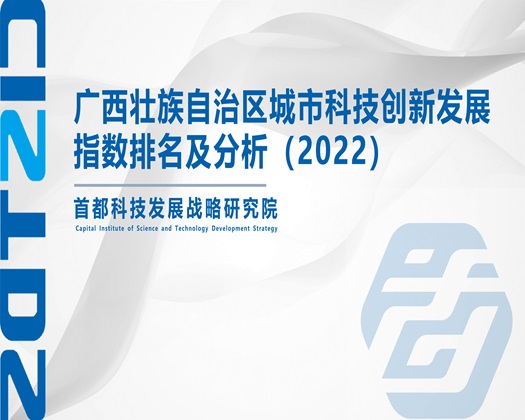 操死我啊啊啊观看【成果发布】广西壮族自治区城市科技创新发展指数排名及分析（2022）